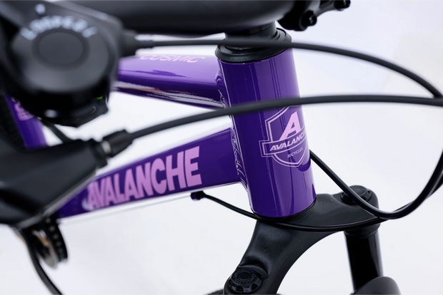 Avalanche Cosmic 24 Girls Purple – Kids MTB